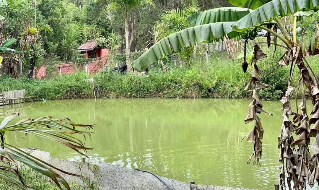 Chacara Recanto Dos Passaros Bairro das Rosas Exteriör bild