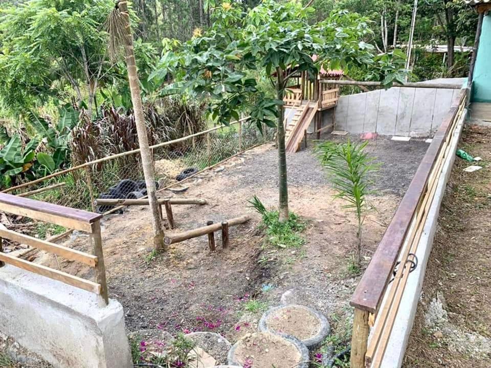 Chacara Recanto Dos Passaros Bairro das Rosas Exteriör bild